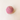 Lotus Melon Seeds Mooncake Pastry